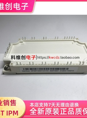 DP40F1200T101841 DP40F1200T101741