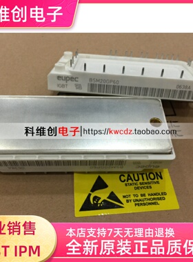 BSM20GP60 功率模块 现货质量 保证价格优势功率模块全