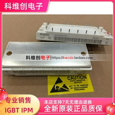 BSM20GP60 功率模块 现货质量 保证价格优势功率模块全