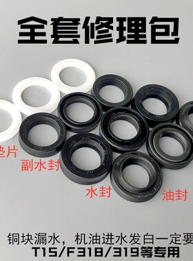 洁普斯t318高压柱塞油封洗车机