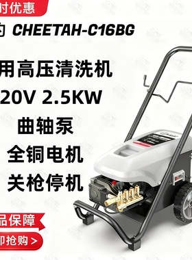 绿霸猎豹高压水枪洗车机LT16MA/MB关枪停机水泵220V大功率铜电机