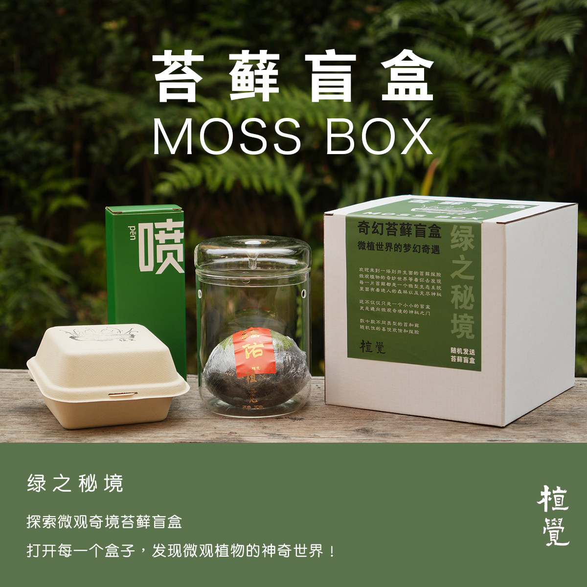 植觉 ｜苔藓盲盒 集露杯 顺丰发货｜微景观盆栽绿植盆景创意礼品