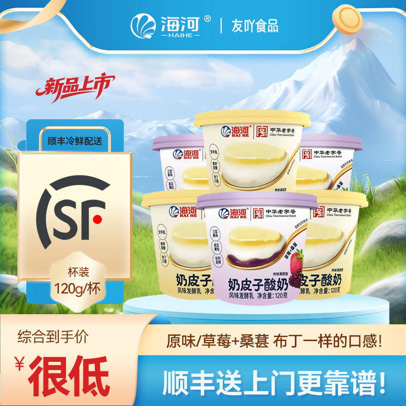 顺丰包邮海河奶皮子酸奶原味凝固型布丁120g草莓桑葚发酵乳早餐奶