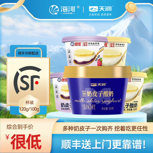 顺丰包邮新疆天润奶皮子酸奶100g低温全脂风味发酵乳天津海河120g