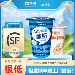 顺丰天润益生菌酸奶hello原味颜值当道低温酸牛奶早餐180gx12杯装