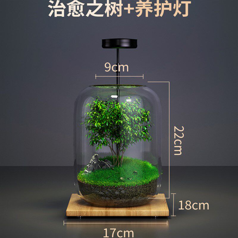 办公室桌面生态瓶自循环微景观免打理微生态玻璃微观鱼缸空瓶造景,宠物/宠物食品及用品,生态瓶/创意缸/微景缸,淘宝优惠券,粉丝福利购,淘宝优惠卷