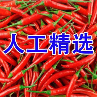 小米辣椒新鲜5斤9斤批发朝天椒特辣泡椒红小尖椒指天椒超辣红辣椒