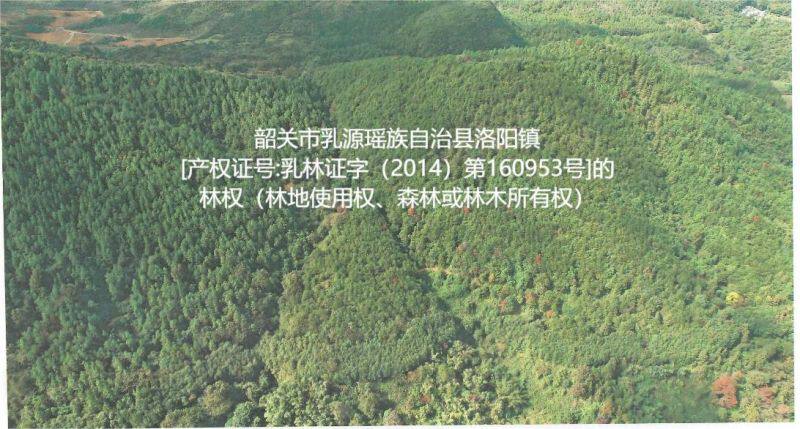 韶关市乳源瑶族自治县洛阳镇板长村委、双坪村委的林地使用权、森林或林木所有权