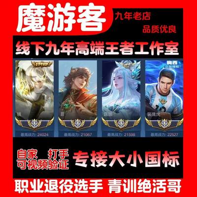 王者荣耀代练代练大小国标代打排位百星巅峰战力省标金标魔方国服