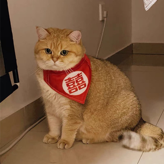 猫咪结婚喜字口水巾围嘴配饰狗狗参加婚礼红衣服三角巾婚庆专用