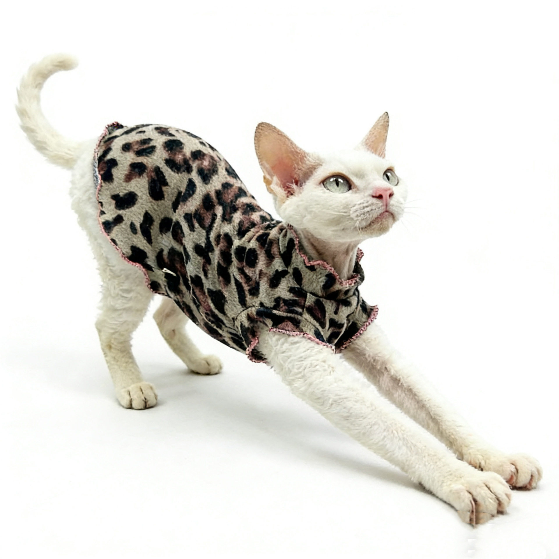 猫咪衣服春夏款豹纹蛋卷裙无袖薄款德文瘦短毛猫透气宠物衣服