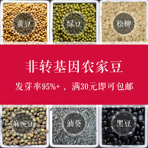 当年新豆发芽率95%生态农家豆