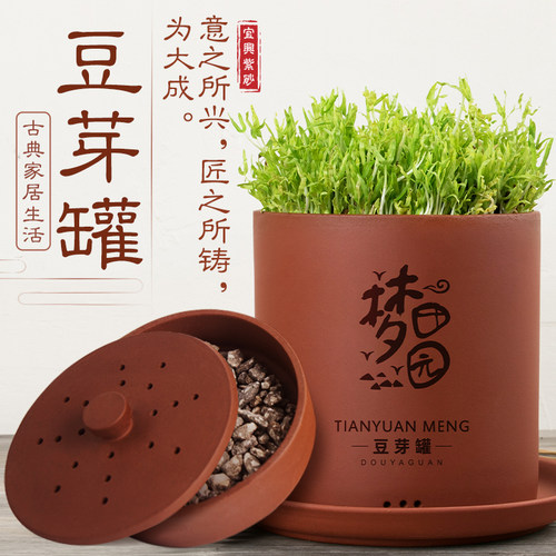 高端礼品红泥紫砂豆芽罐质保三年