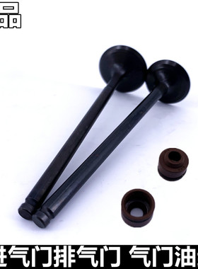 适用铃木摩托车配件 锐爽EN150J 电喷 EN150-A发动机缸头气门油封