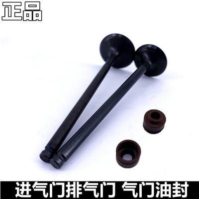 适用铃木乐至UR110T丽至UZ110T气缸体QS110T发动机缸头气门油封