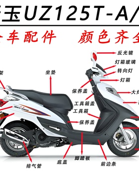 适用铃木天玉UZ125T-A/C面板 大灯前围 转向灯头罩国四新天玉外壳