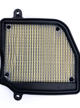 适用铃木骏驰GT125 QS125-5A/5C/5E/5G/5B/5H空气滤芯空滤器滤清