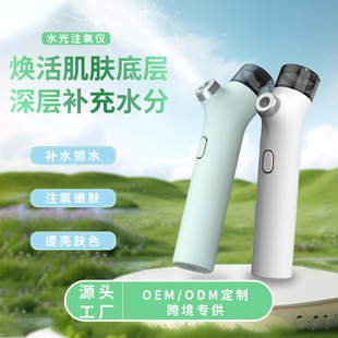 注氧仪家用纳米喷雾器补水仪手持美容仪水氧精华导入脸面部美容院
