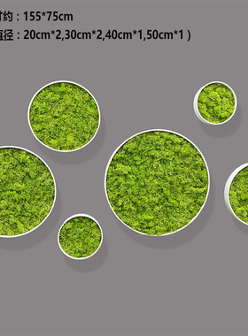 仿真永生苔藓壁挂相框高仿绿植墙上装饰品北欧客厅玄关仿真墙挂件