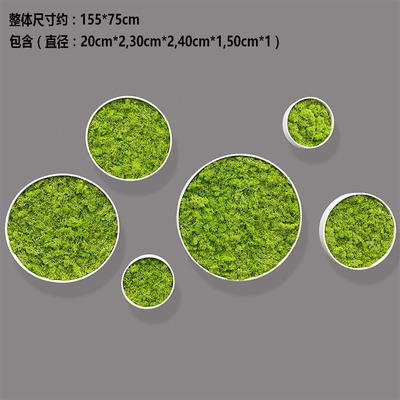 仿真永生苔藓相框绿植玄关装饰品