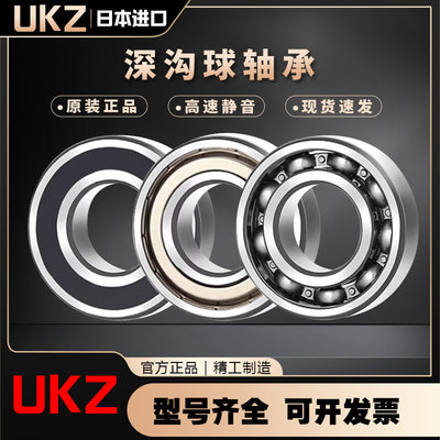 进口轴承619006190161902903