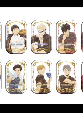 排球少年711 正品日谷 坐姿方 烫金方胸章徽章挂件