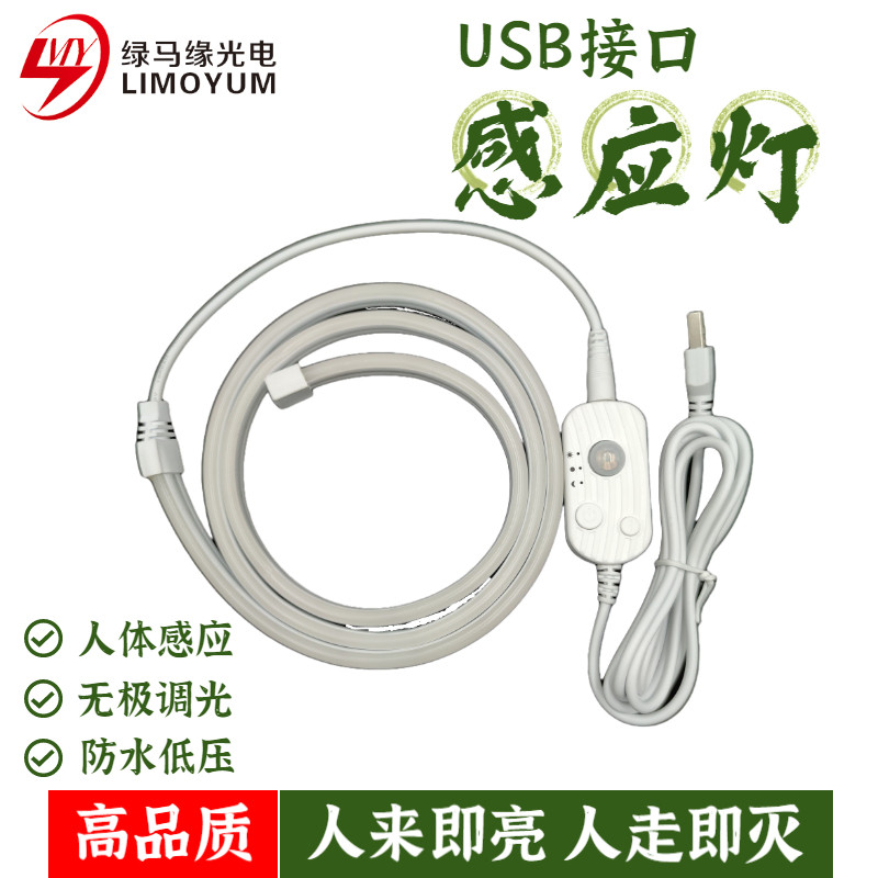 绿马缘USB感应LED灯条