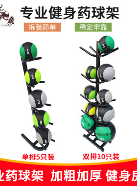 5只重力实心健身太极可拆球架