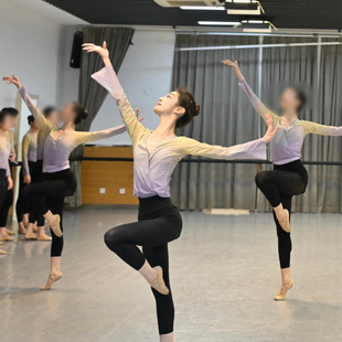 古典舞基训舞蹈服身韵纱衣女练功服艺考表演演出服形体服上衣成人