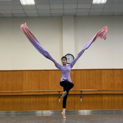 舞蹈演出服女水袖上衣