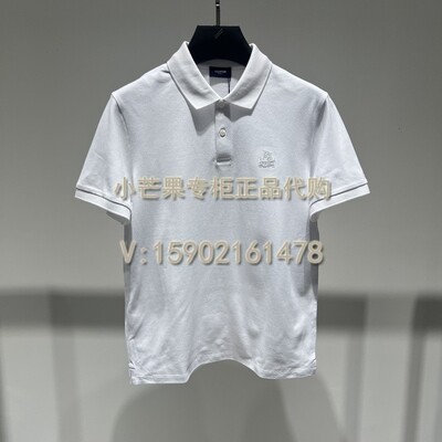 休闲潮牌翻领同款百搭体恤夏季