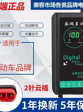 台铃电动车充电器非原装正品