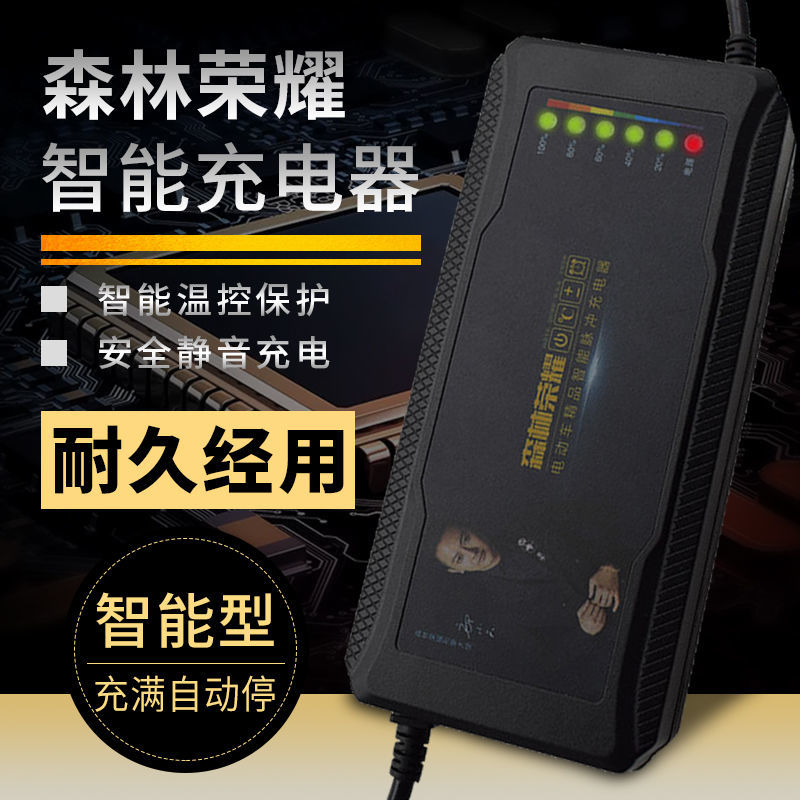 自动断电智能电动车电动车电瓶