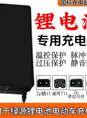 适用于绿源电动车48V锂电池充电器2A3A通用两孔圆针卡侬全新主板