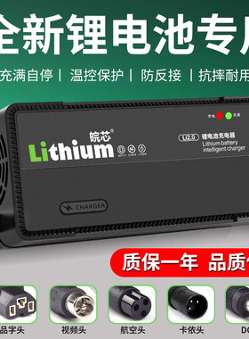 皖芯充电器大功率快充锂电75.6V76.6V79.8V100.8V109.2vV69.35V