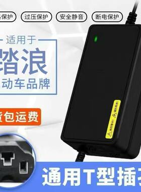 【自动关机】适用于踏浪电动车两轮充电器48V60V72全新原厂正品