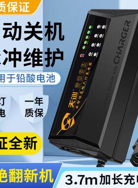 电动车充电器智能断电铅酸电池