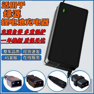 适用于绿源电动车锂电池充电器48V2a3a通用两孔圆针卡侬头非原装