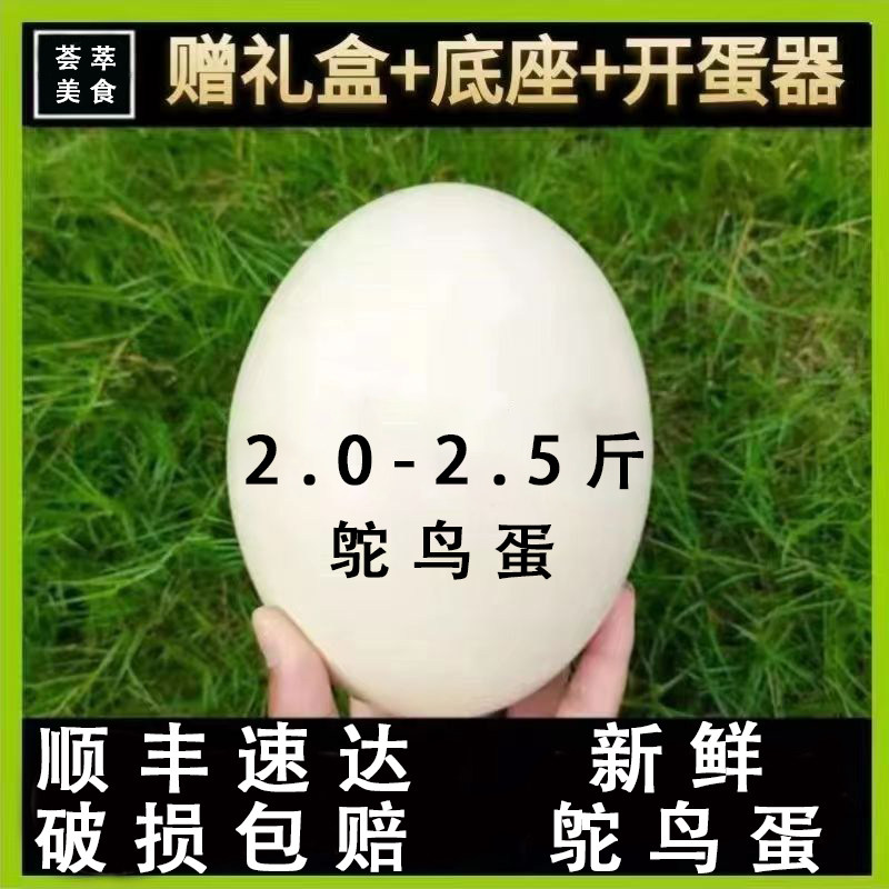 大号新鲜新疆五香鸵鸟蛋耐鹋蛋鲜其它