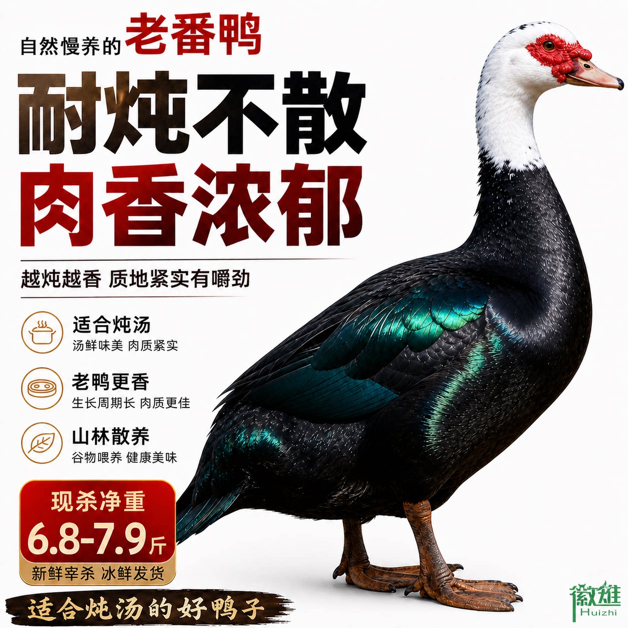 【今聚鲜】冷链包邮农村正宗慢养鸭肉/鸭肉制品