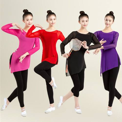 古典舞身韵纱衣现代民族