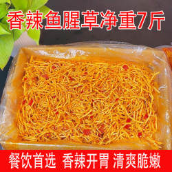 农家凉拌鱼腥草新鲜香辣折耳根凉拌菜咸菜下饭菜即食整箱商用散装