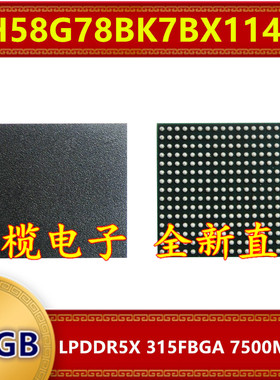 H58G78BK7BX114R LPDDR5X 7500Mbps 16GB 315FBGA 暂存内存芯片