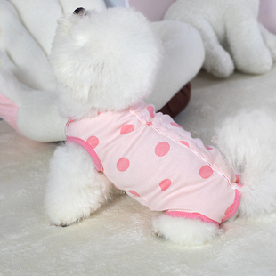 狗狗衣服夏季薄款护肚衣绝育服母狗泰迪比熊博美防掉毛宠物手术服