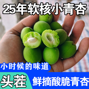 25年青杏酸青杏绿杏子当季1/2斤现摘农家杏子孕妇水果脆酸杏包邮
