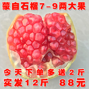 【现货】云南蒙自石榴多汁大果