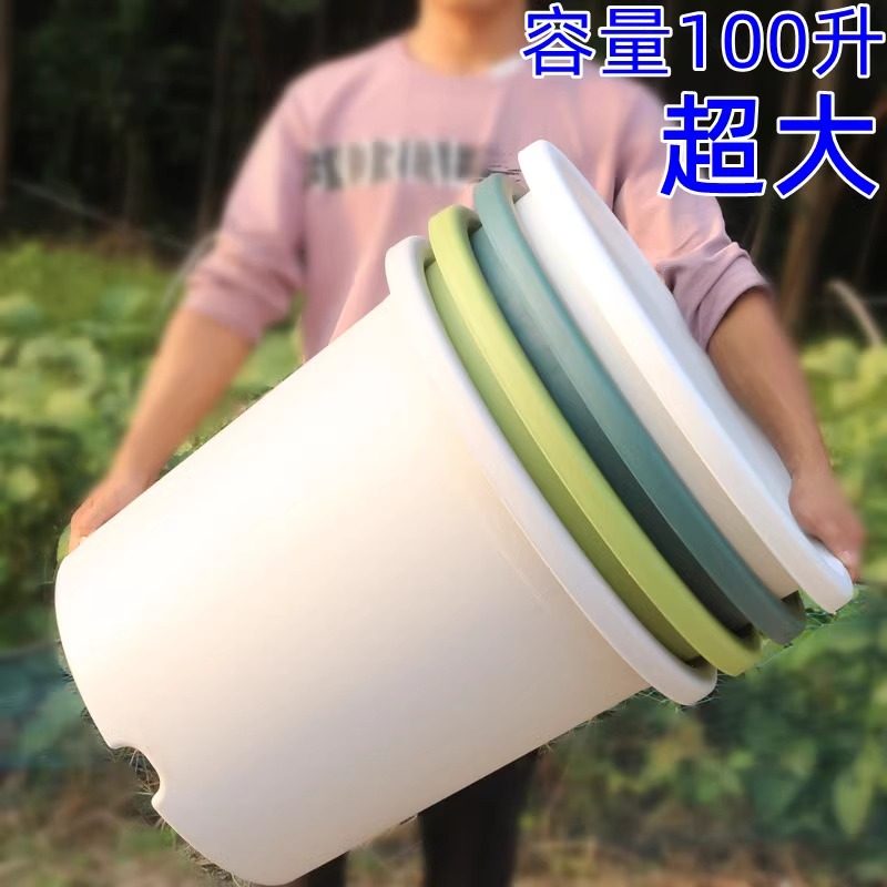 高品质加厚特大号加仑盆树脂塑料蓝莓树无花果月季控根青山透气盆,鲜花速递/花卉仿真/绿植园艺,花盆,淘宝优惠券,粉丝福利购,淘宝优惠卷