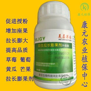 巨生拉长膨果剂升级版|草莓葡萄黄瓜芒果水果专用拉长膨大素150ml