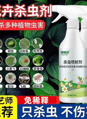治打除多肉上有小白色的虫子杀虫剂专用兰花蚜虫蚧壳虫小白虫的药