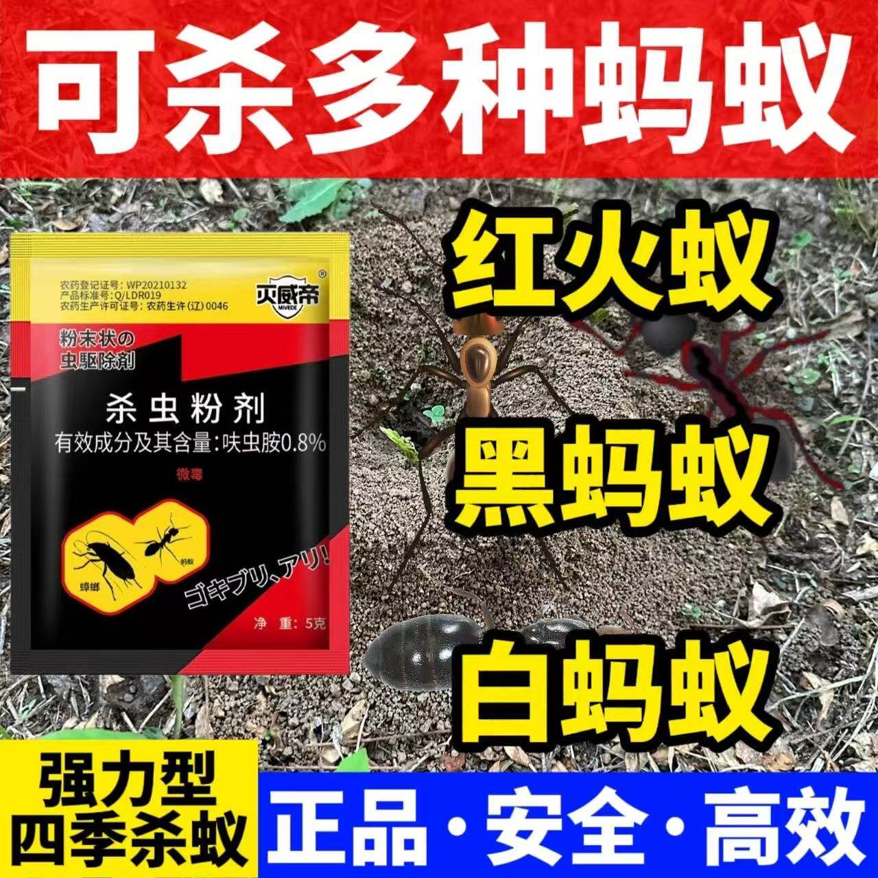 蚂蚁药厨房室内非无毒家用一窝一锅端灭除红火黑蚁防治专用药饵剂